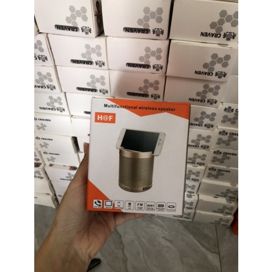 Loa Bluetooth Q3
