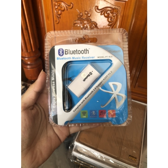 USB Bluetooth PT-810